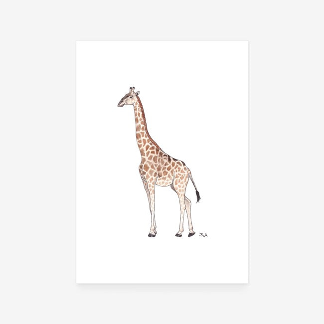 Giraffe Print