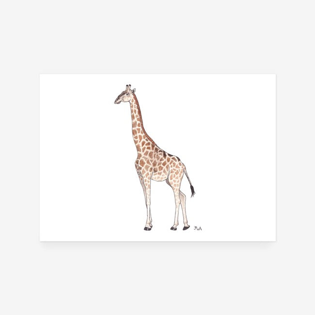 Giraffe Print