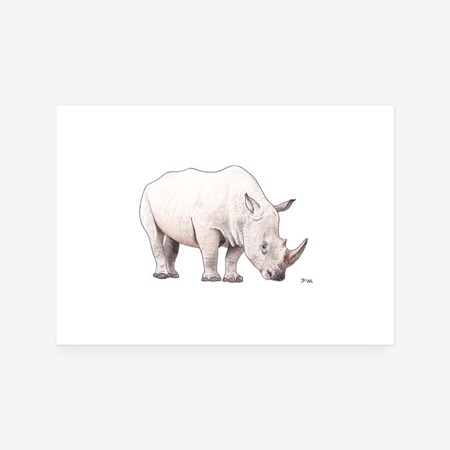 White Rino Print