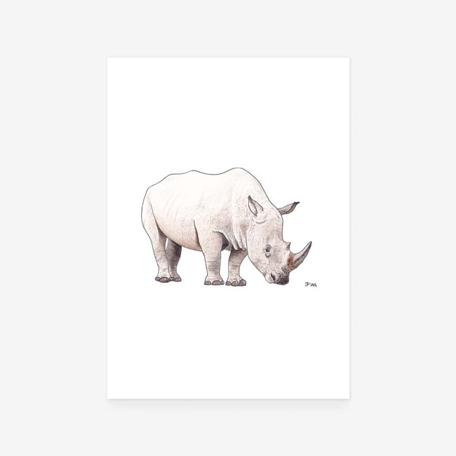 White Rino Print