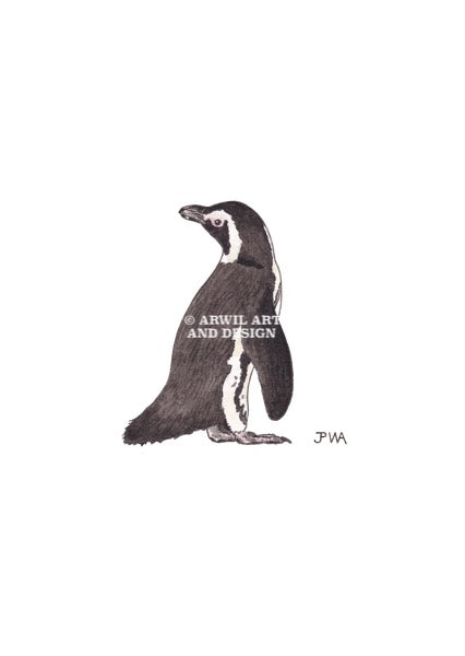 Watercolour illustration of an african penguin, with gentle shading and fine line details. Watermark copyright Arwil Art and Design