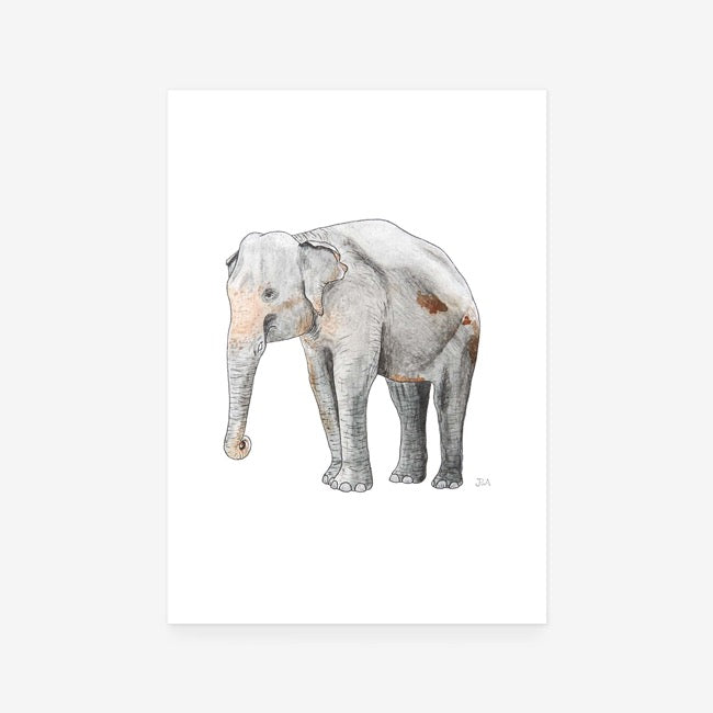 Elephant I Print