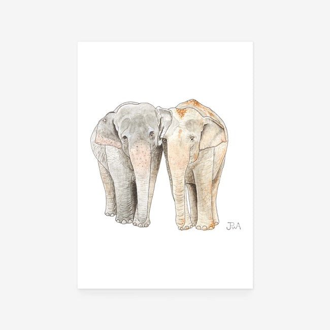 Elephant Pair Print
