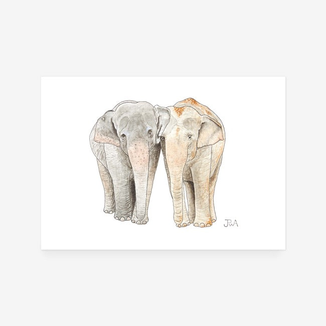 Elephant Pair Print
