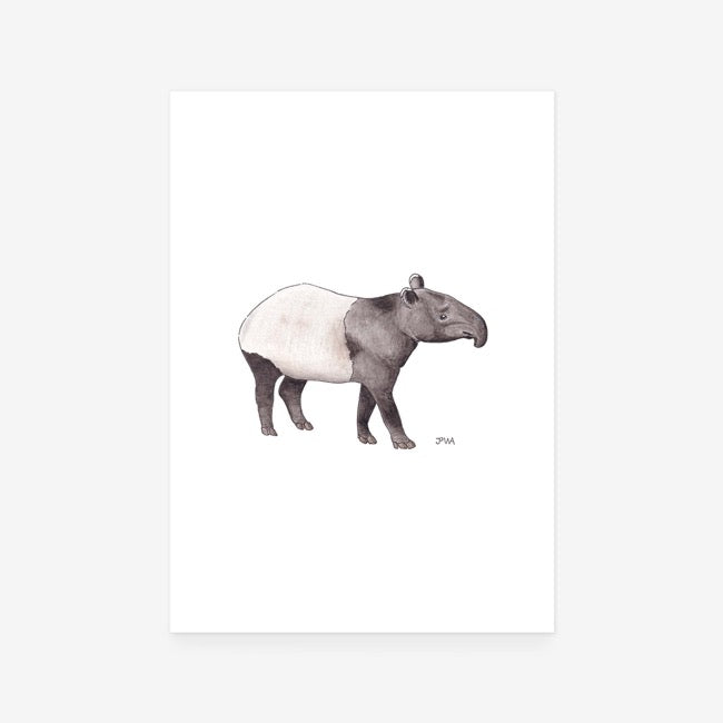 Tapir Print