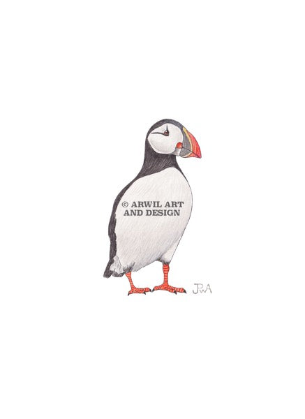 Watercolour illustration of an atlantic puffin, with gentle shading and fine line details. Watermark copyright Arwil Art and Design
