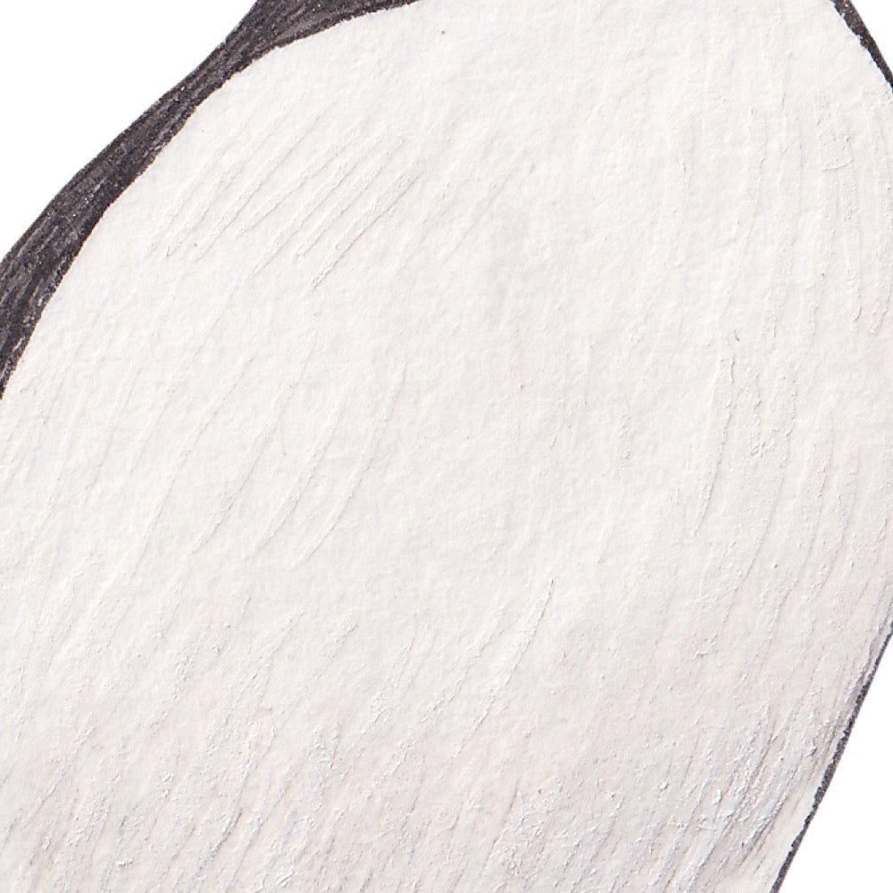 Arwil Art and Design watercolour illustration of an atlantic puffin, with gentle shading and fine line details - cropped to show detail