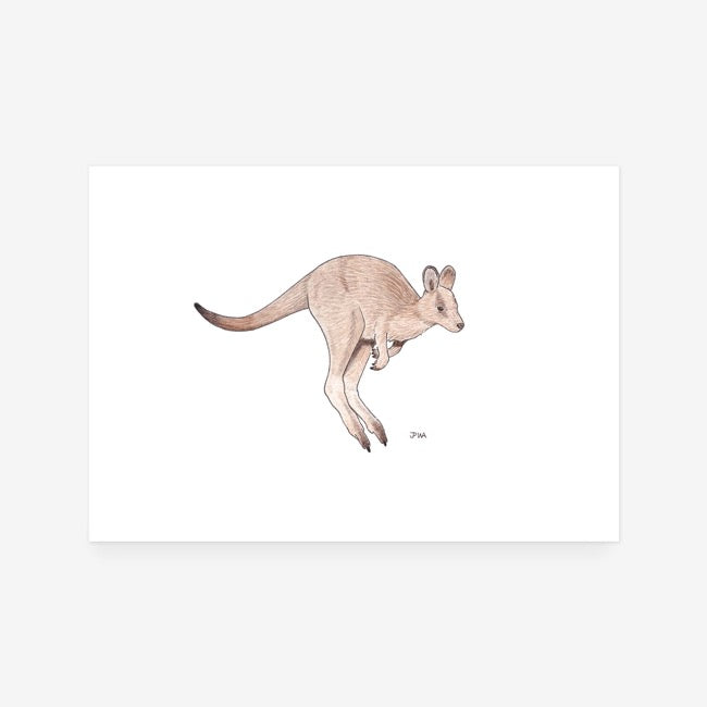 Kangaroo Print