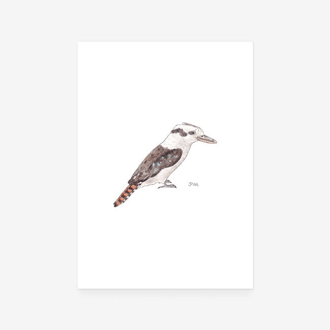 Kookaburra Print