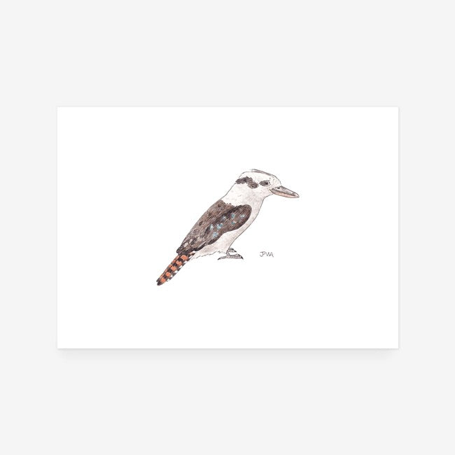 Kookaburra Print