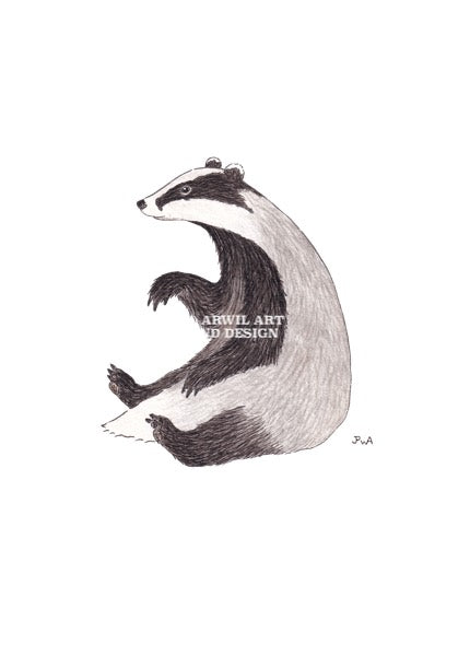 Watercolour illustration of a badger, with gentle shading and fine line details. Watermark copyright Arwil Art and Design