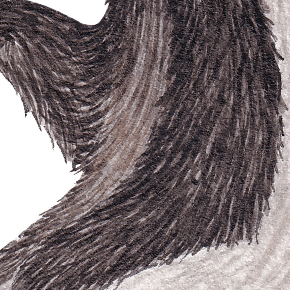 Arwil Art and Design watercolour illustration of a badger, with gentle shading and fine line details - cropped to show detail