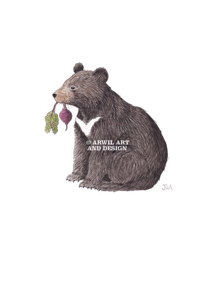 Watercolour illustration of a bear eating beets, with gentle shading and fine line details. Watermark copyright Arwil Art and Design