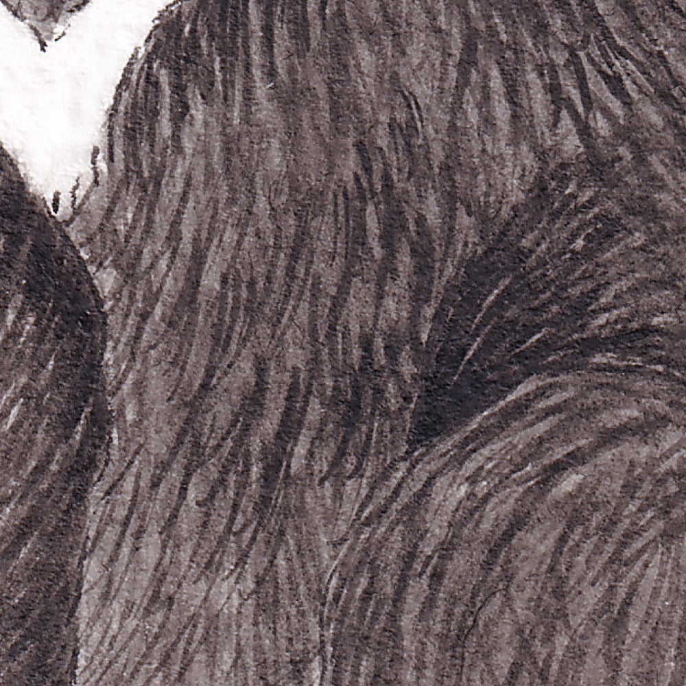 Arwil Art and Design watercolour illustration of a bear eating beets, with gentle shading and fine line details - cropped to show detail