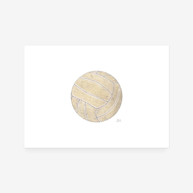 Volleyball Print