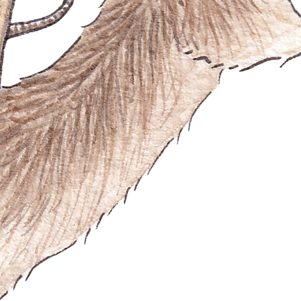 Arwil Art and Design watercolour illustration of a field mouse, with gentle shading and fine line details - cropped to show detail