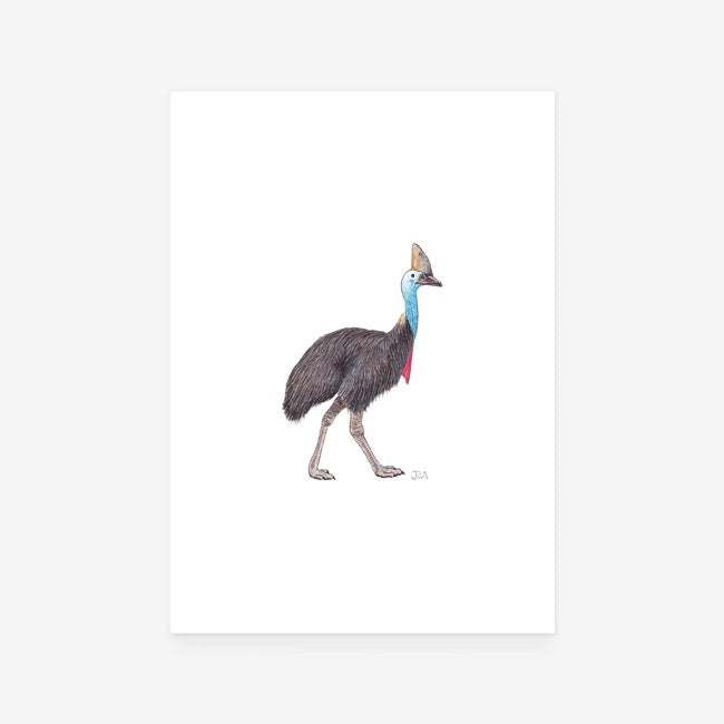 Cassowary Print