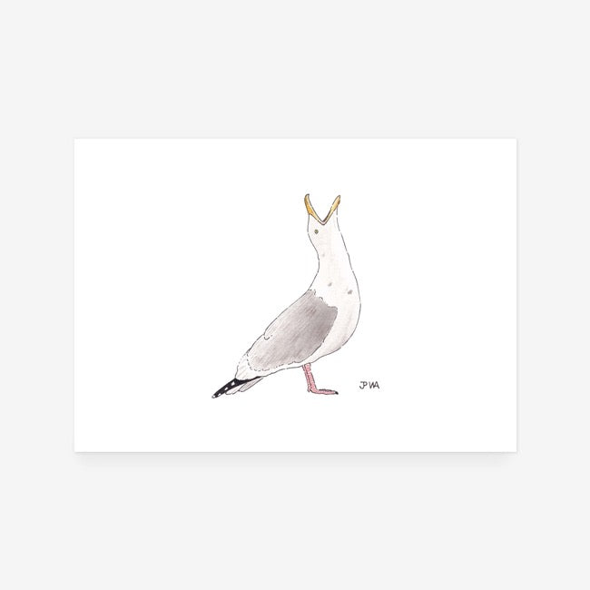 Gull Print
