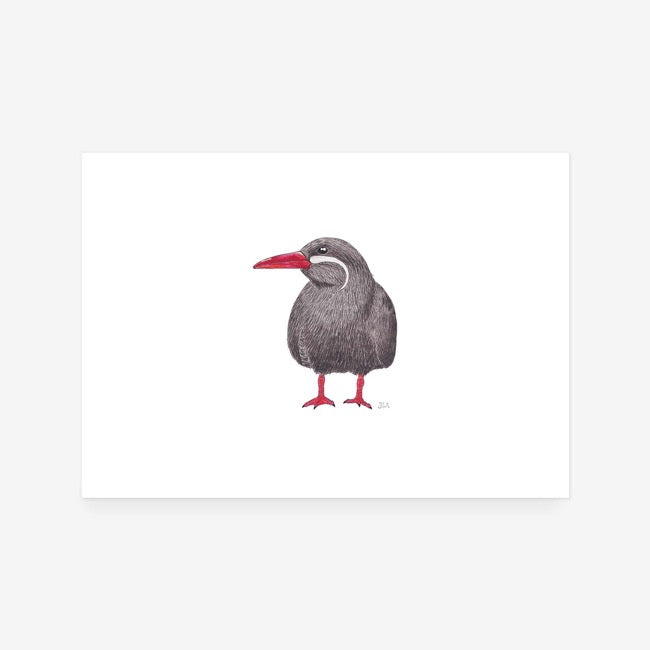 Inca Tern Print