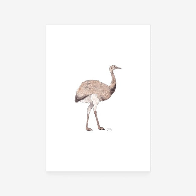 Rhea Print