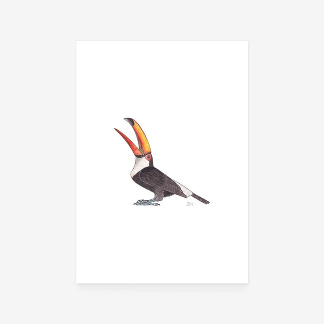 Toucan Print