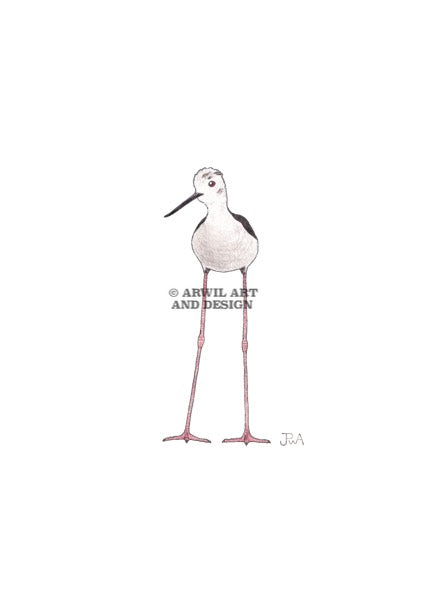Watercolour illustration of a black winged stilt, with gentle shading and fine line details. Watermark copyright Arwil Art and Design