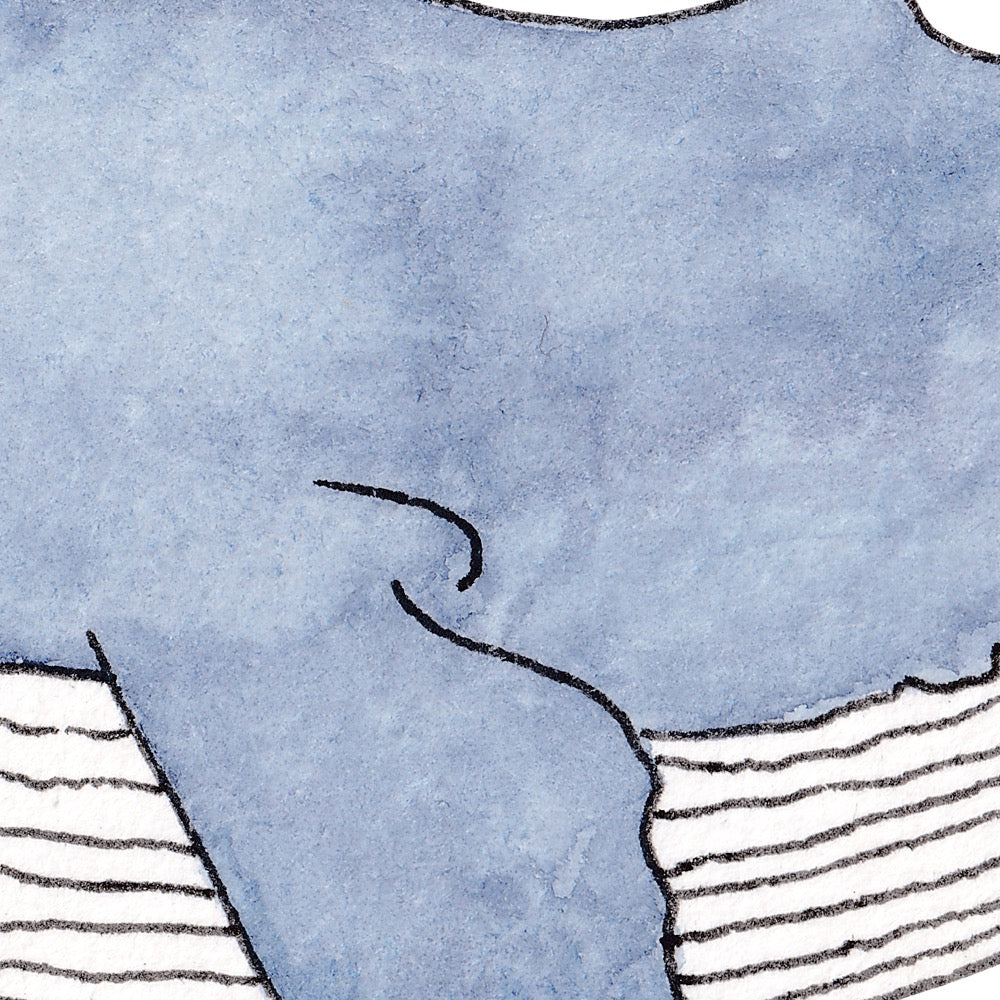 Arwil Art and Design watercolour illustration of a blue whale, with gentle shading and fine line details - cropped to show detail