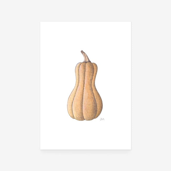 Butternut Pumpkin Print