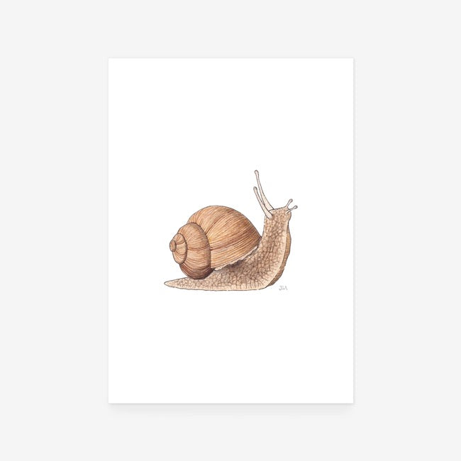 Garden Snail Print