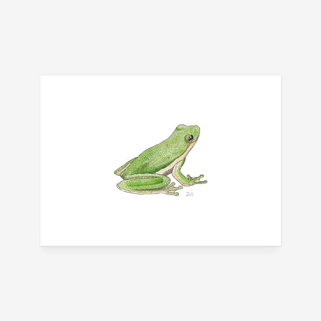 Green Tree Frog Print