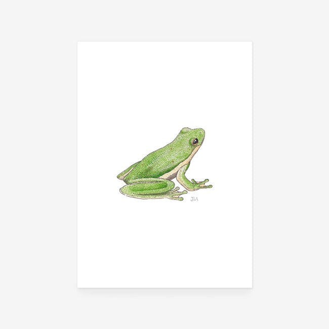 Green Tree Frog Print