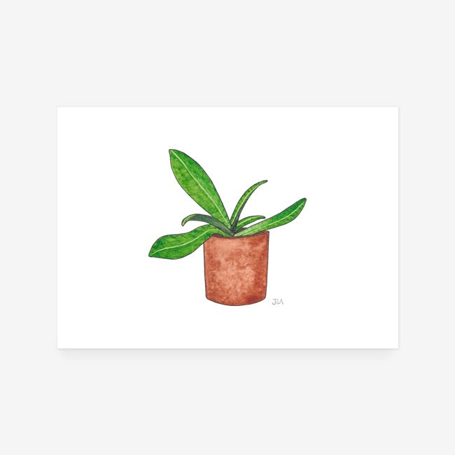 Plant Print