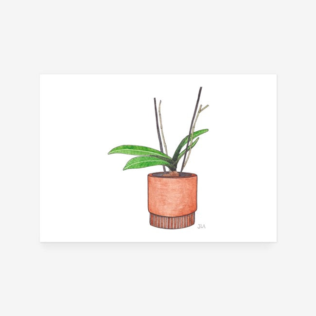 Pot Plant Print