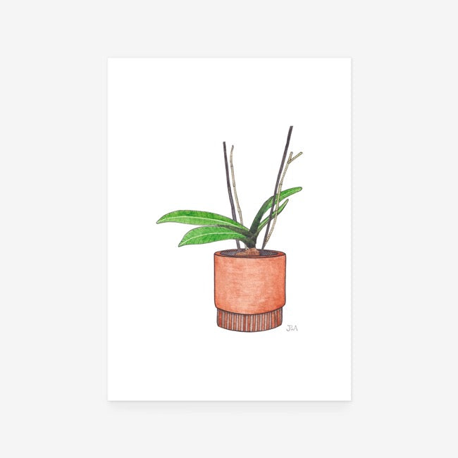 Pot Plant Print