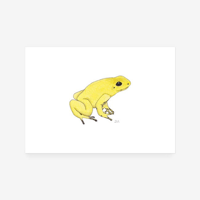 Yellow Poison Dart Frog Print