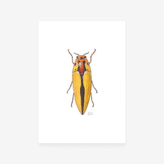 Yellow Jewel Beetle Print