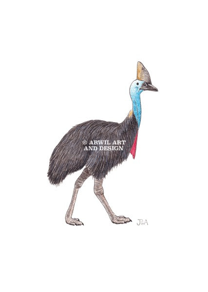 Watercolour illustration of a cassowary, with gentle shading and fine line details. Watermark copyright Arwil Art and Design