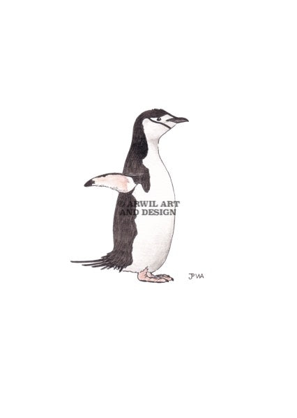 Watercolour illustration of a chinstrap penguin, with gentle shading and fine line details. Watermark copyright Arwil Art and Design