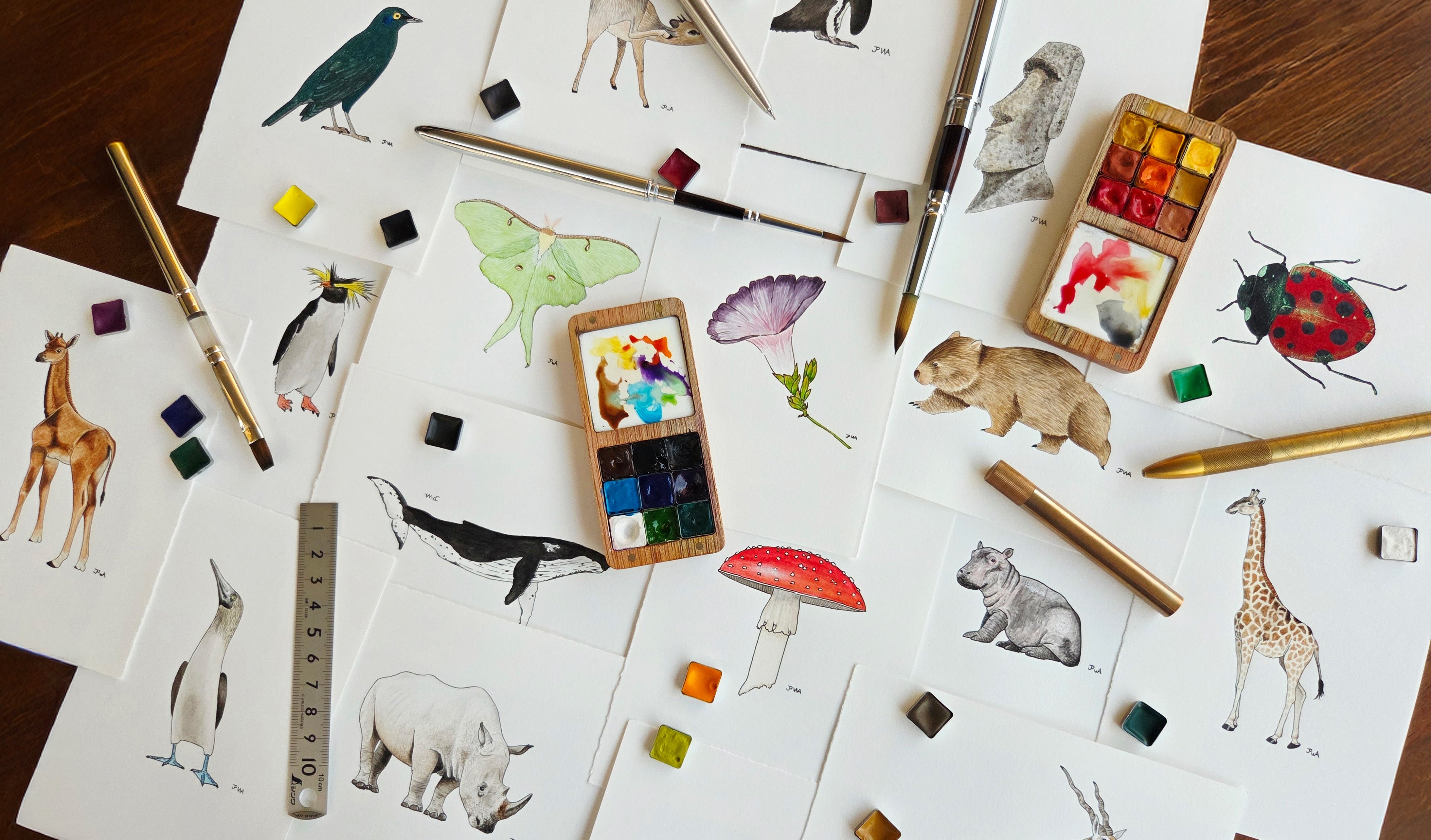 Art supplies including pencils, watercolor paints, and animal illustrations on a wooden surface.