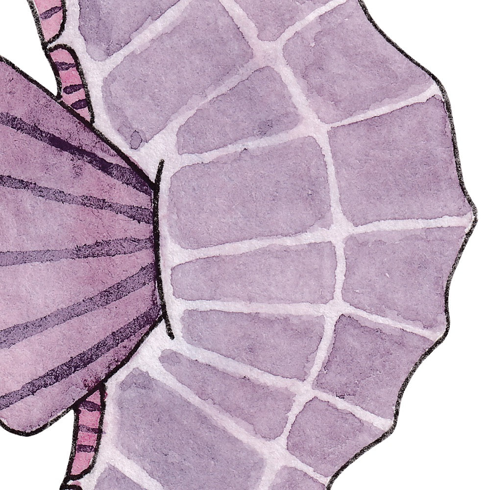 Arwil Art and Design watercolour illustration of a seahorse, with gentle shading and fine line details - cropped to show detail 