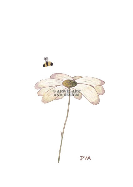 Watercolour illustration of a daisy with a bee ready to land, with gentle shading and fine line details. Watermark copyright Arwil Art and Design