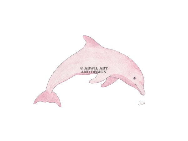Watercolour illustration of a pink dolphin, with gentle shading and fine line details. Watermark copyright Arwil Art and Design