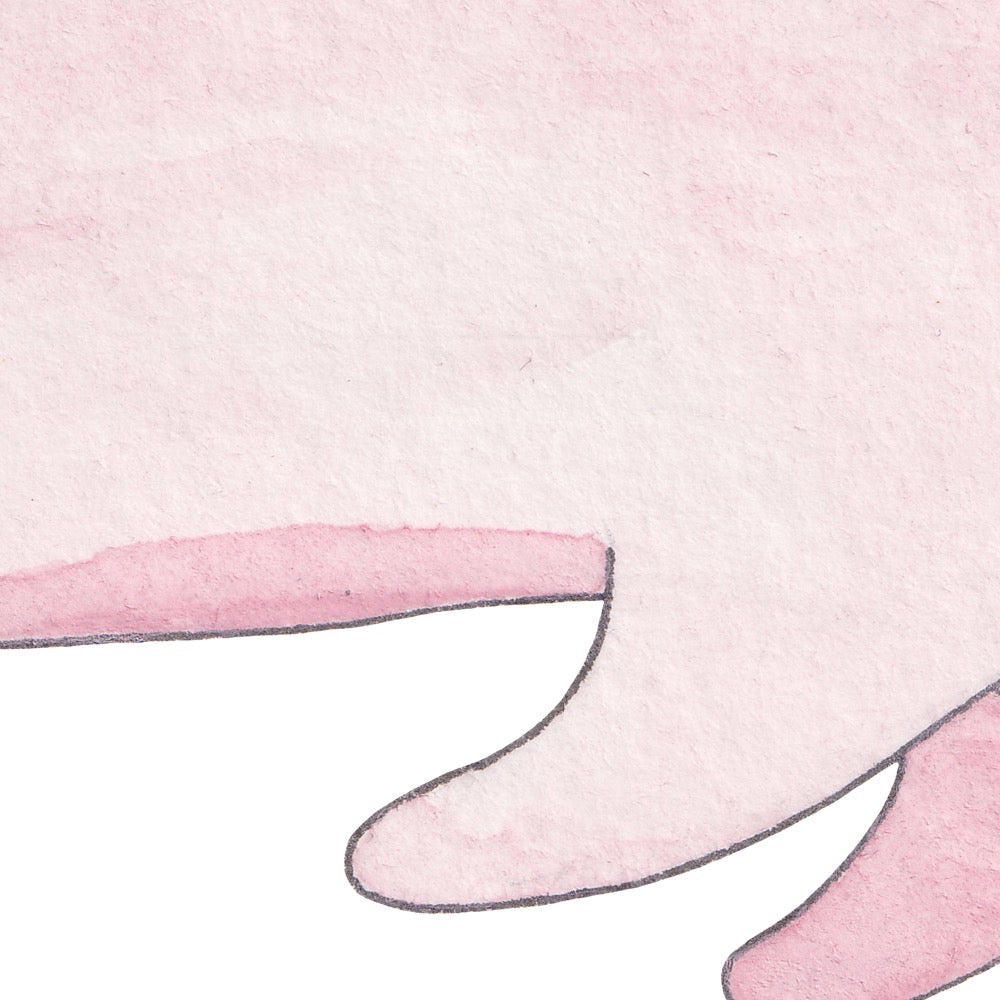 Arwil Art and Design watercolour illustration of a pink dolphin, with gentle shading and fine line details - cropped to show detail 