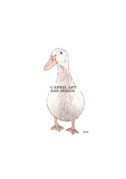 Watercolour illustration of a duck, with gentle shading and fine line details. Watermark copyright Arwil Art and Design