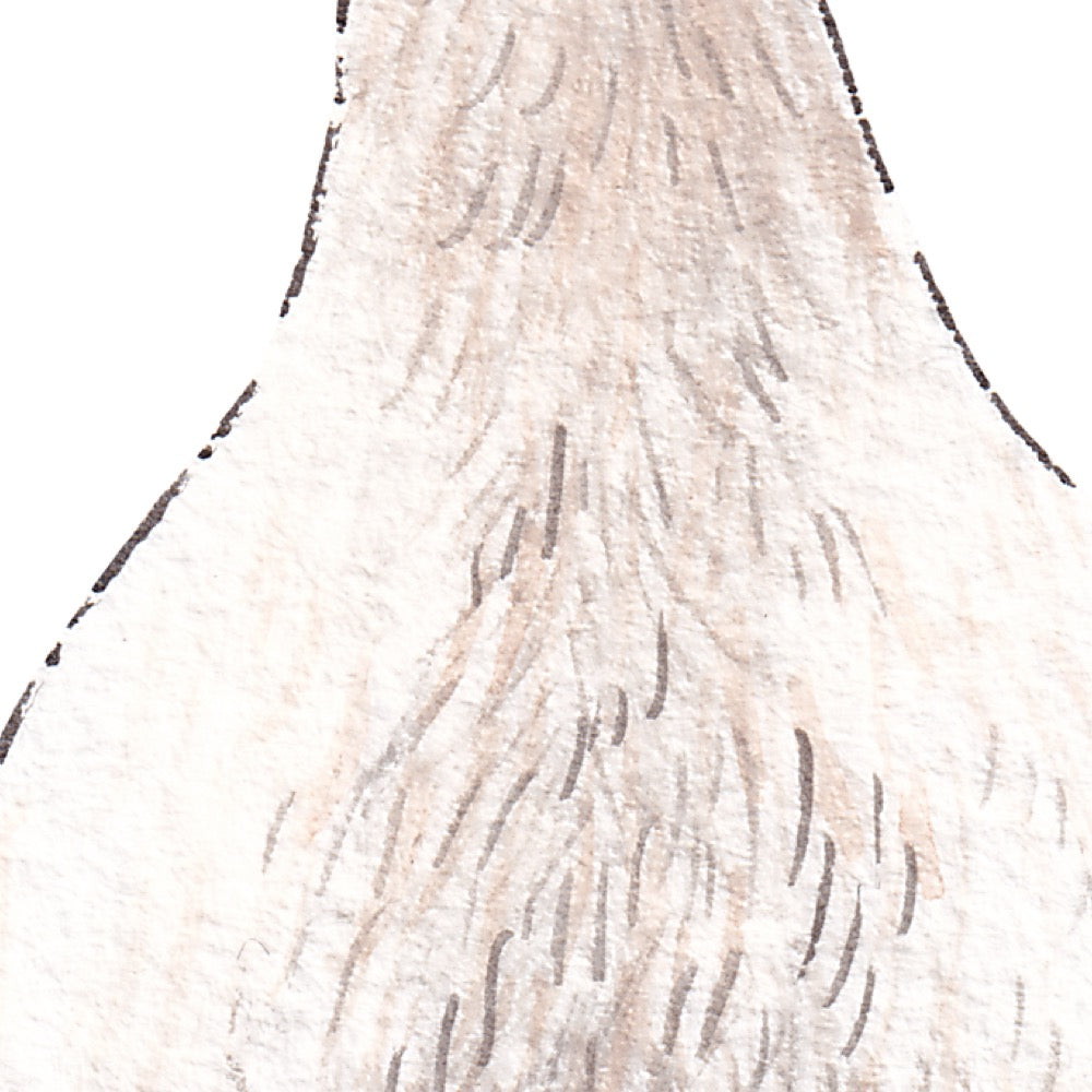 Arwil Art and Design watercolour illustration of a duck, with gentle shading and fine line details - cropped to show detail