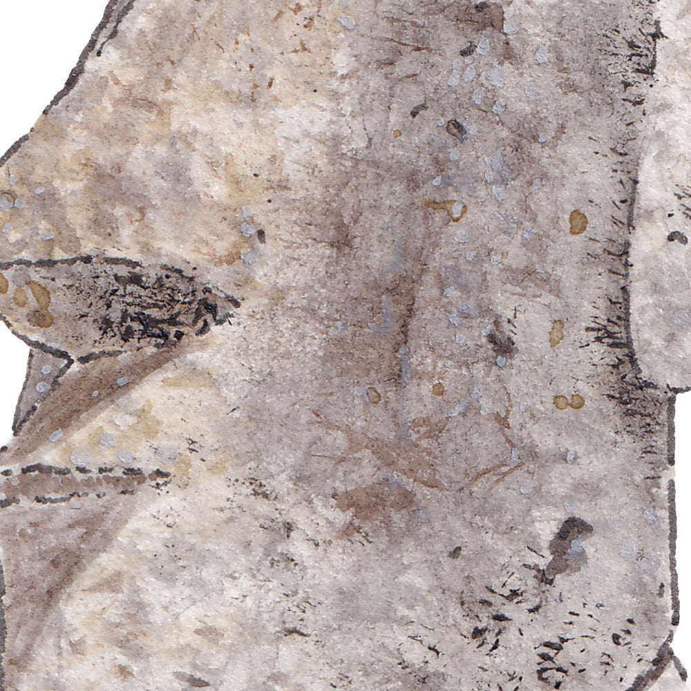 Arwil Art and Design watercolour illustration of an easter island head, with gentle shading and fine line details - cropped to show detail