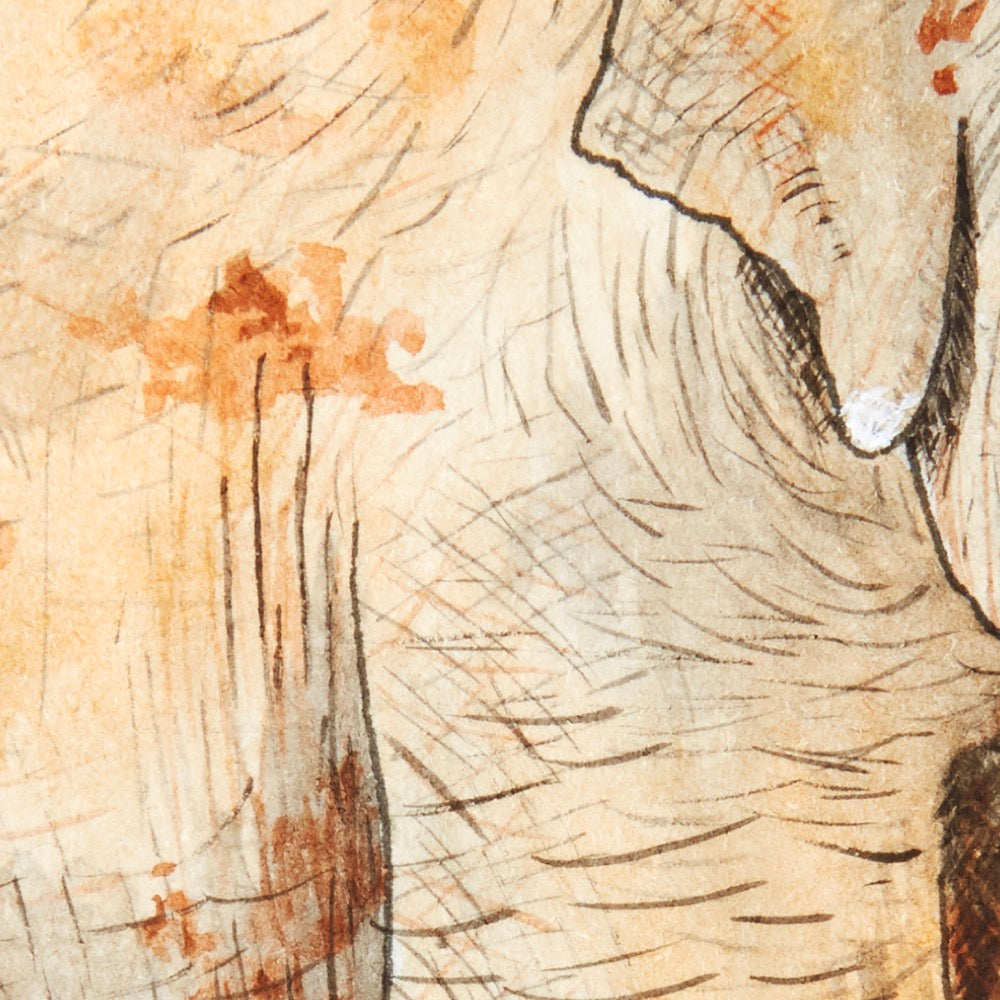 Arwil Art and Design watercolour illustration of a elephant, with gentle shading and fine line details - cropped to show detail