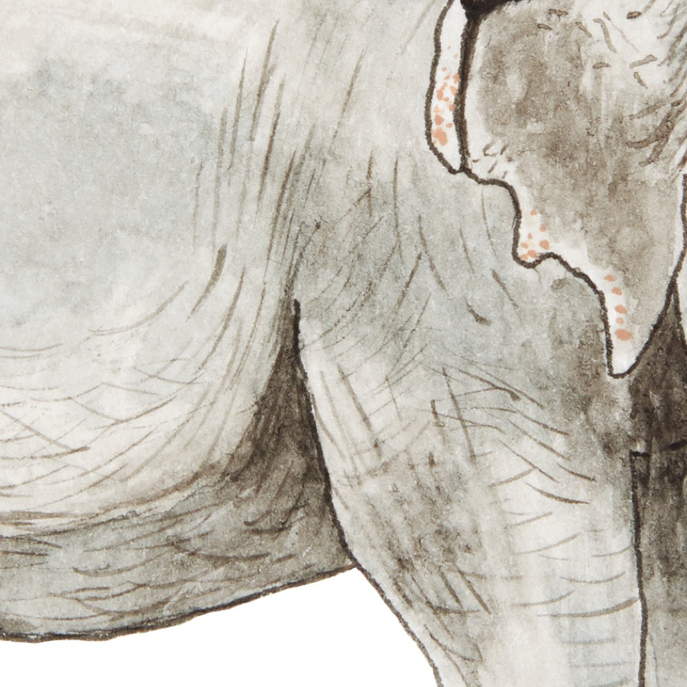 Arwil Art and Design watercolour illustration of a elephant, with gentle shading and fine line details - cropped to show detail