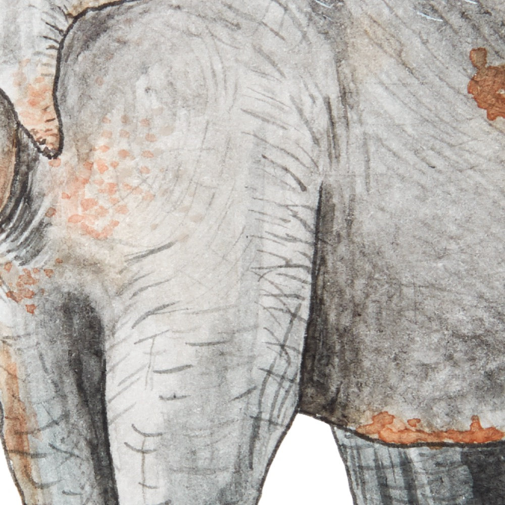 Arwil Art and Design watercolour illustration of a elephant, with gentle shading and fine line details - cropped to show detail