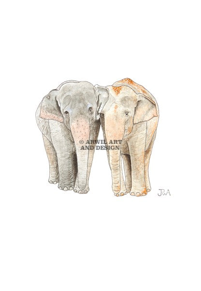 Watercolour illustration of an elephant pair, with gentle shading and fine line details. Watermark copyright Arwil Art and Design